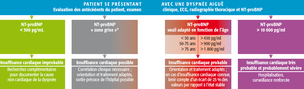 nt pro bnp 2 – nt probnp très élevé – G4G5